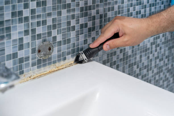 Best Toxic Mold Removal  in Carrollwood, FL
